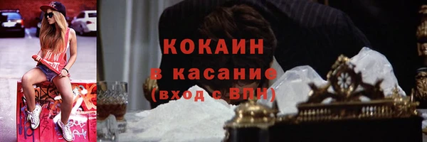 твердый Лагань