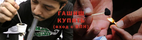 мдпв Ладушкин
