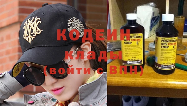 мдпв Ладушкин
