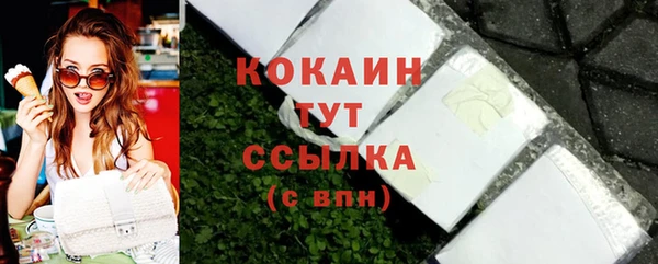 мдпв Ладушкин