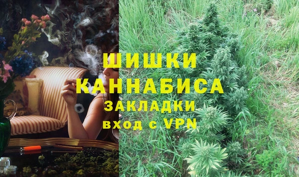 твердый Лагань