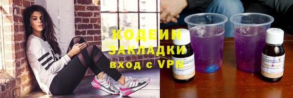мдпв Ладушкин