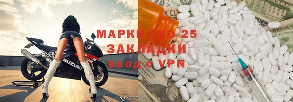 мдпв Ладушкин