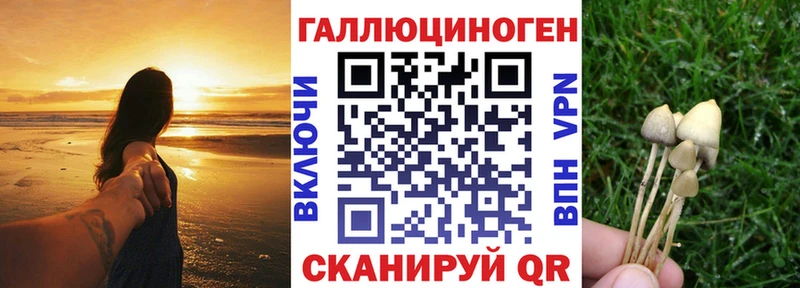 купить наркотик  Цимлянск  Псилоцибиновые грибы прущие грибы 
