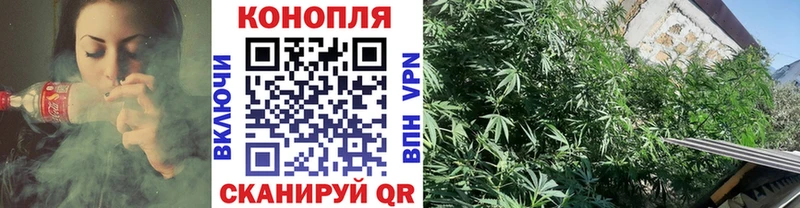 где продают Цимлянск Шишки марихуана VHQ